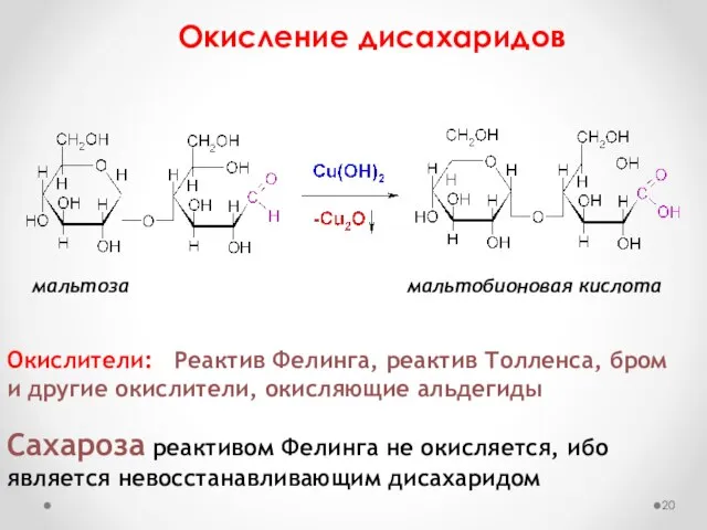 Окисление дисахаридов мальтоза мальтобионовая кислота Окислители: Реактив Фелинга, реактив Толленса, бром