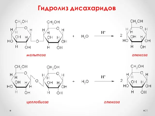 Гидролиз дисахаридов мальтоза глюкоза целлобиоза глюкоза Н+ Н+