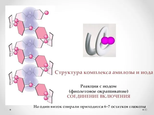 Структура комплекса амилозы и иода Реакция с иодом (фиолетовое окрашивание) СОЕДИНЕНИЕ