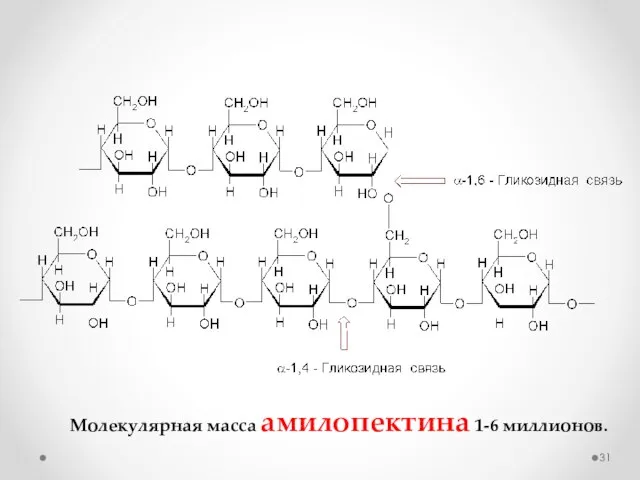 Молекулярная масса амилопектина 1-6 миллионов.