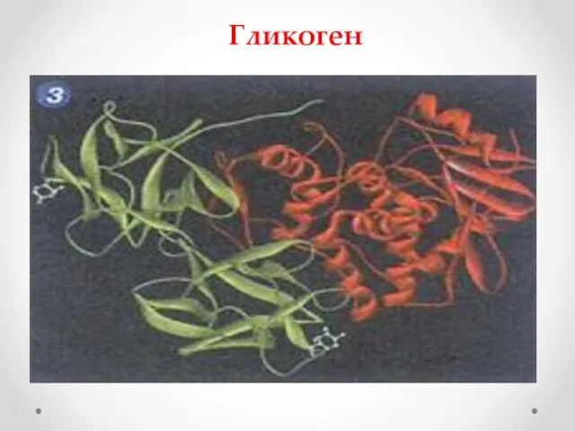 Гликоген