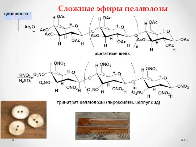 Сложные эфиры целлюлозы