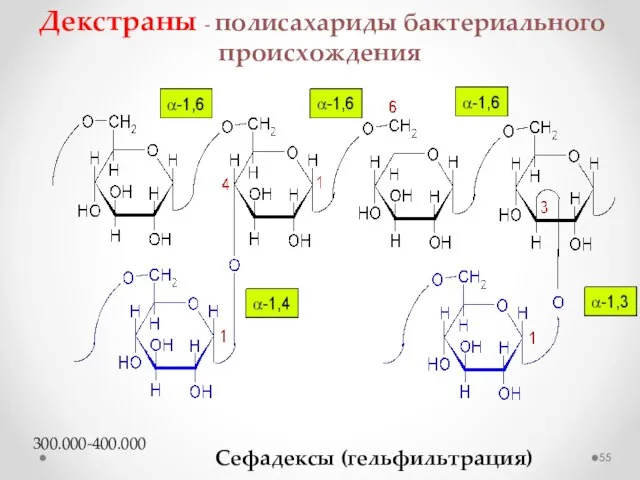 Декстраны - полисахариды бактериального происхождения Сефадексы (гельфильтрация) 300.000-400.000