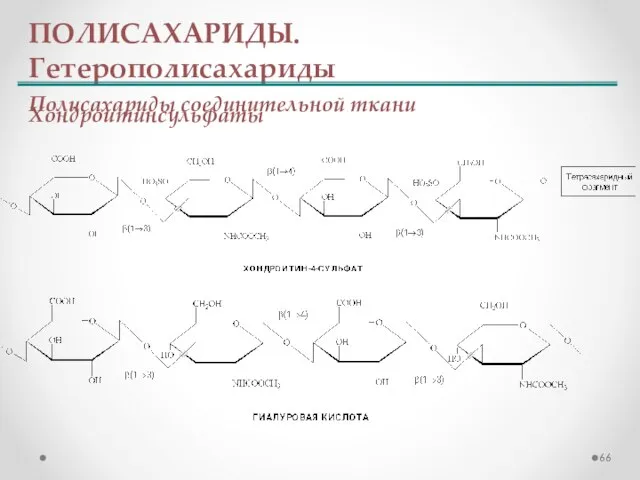 ПОЛИСАХАРИДЫ. Гетерополисахариды Полисахариды соединительной ткани Хондроитинсульфаты