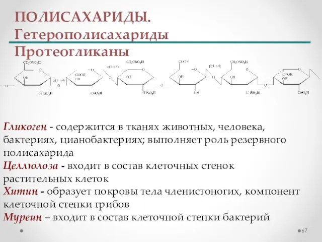 ПОЛИСАХАРИДЫ. Гетерополисахариды Протеогликаны Гликоген - содержится в тканях животных, человека, бактериях,