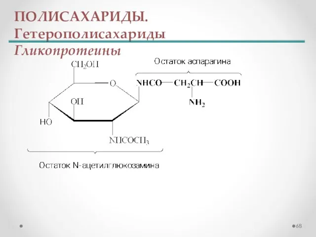 ПОЛИСАХАРИДЫ. Гетерополисахариды Гликопротеины