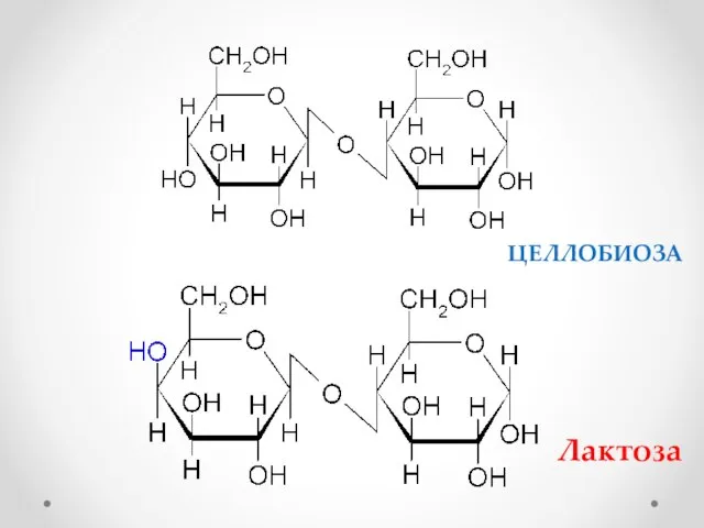 Лактоза ЦЕЛЛОБИОЗА