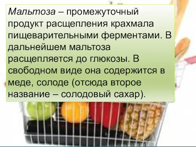 Мальтоза – промежуточный продукт расщепления крахмала пищеварительными ферментами. В дальнейшем мальтоза