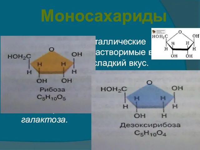 Бесцветные, кристаллические вещества, легко растворимые в воде и имеющие сладкий вкус.