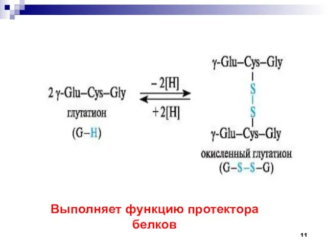 Выполняет функцию протектора белков