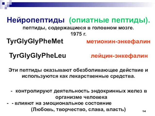 Нейропептиды (опиатные пептиды). пептиды, содержащиеся в головном мозге. 1975 г. TyrGlyGlyPheMet