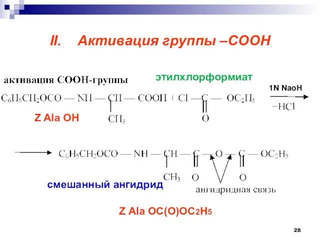 II. Активация группы –СООН этилхлорформиат Z Ala OH Z Ala OC(O)OC2H5 1N NaoH смешанный ангидрид