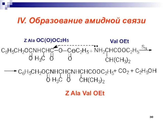 IV. Образование амидной связи Z Ala OC(O)OC2H5 O Val OEt Z Ala Val OEt