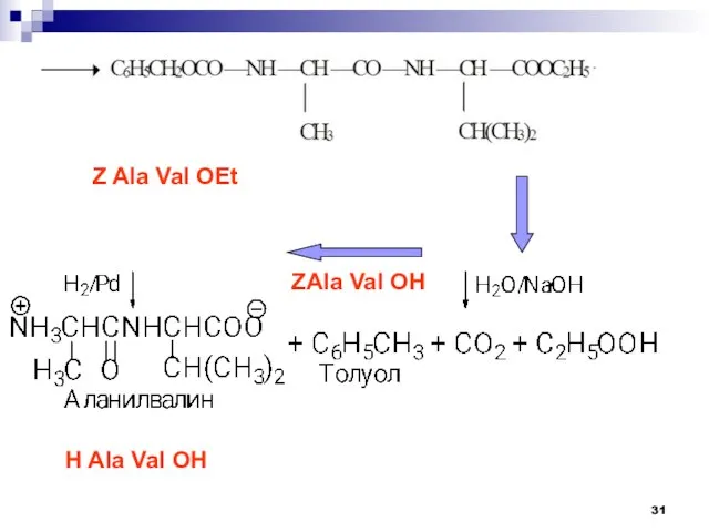 Z Ala Val OEt ZAla Val OH H Ala Val OH