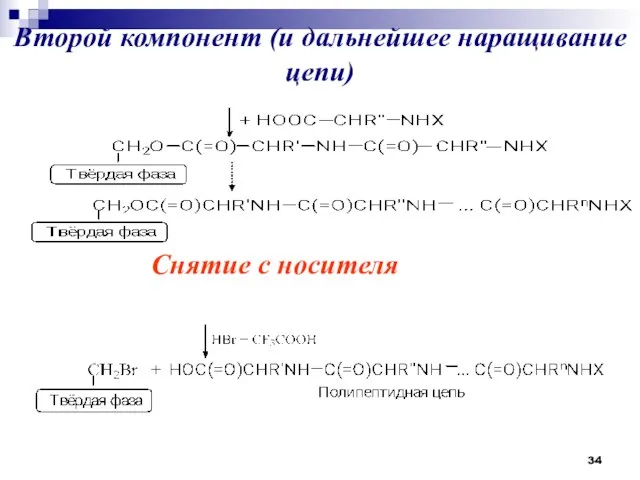 Второй компонент (и дальнейшее наращивание цепи) Снятие с носителя