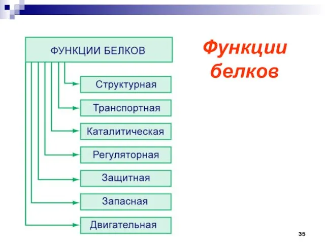 Функции белков