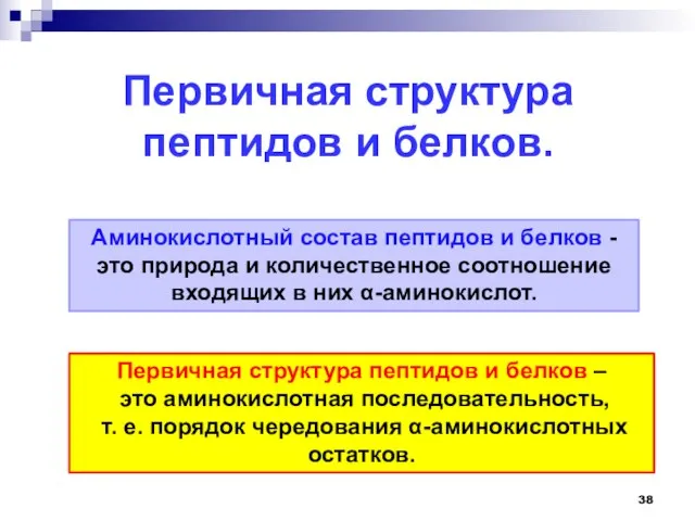 Первичная структура пептидов и белков. Аминокислотный состав пептидов и белков -