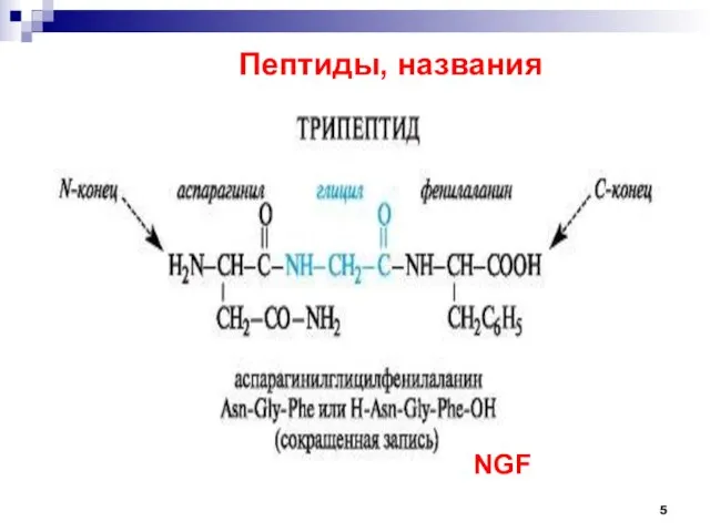 Пептиды, названия NGF