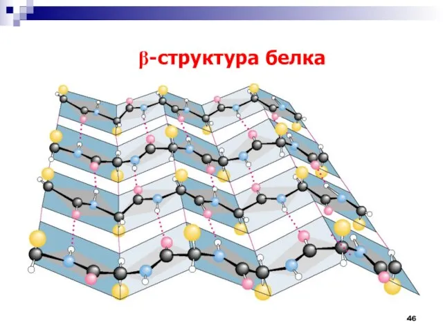 b-структура белка