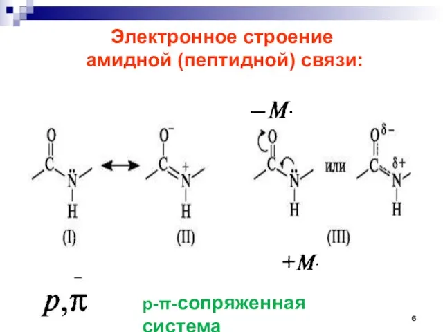 Электронное строение амидной (пептидной) связи: р--сопряженная система