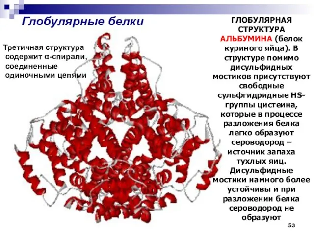 Глобулярные белки ГЛОБУЛЯРНАЯ СТРУКТУРА АЛЬБУМИНА (белок куриного яйца). В структуре помимо