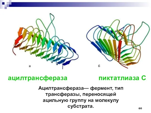 ацилтрансфераза пиктатлиаза С Ацилтрансфераза— фермент, тип трансферазы, переносящей ацильную группу на молекулу субстрата.