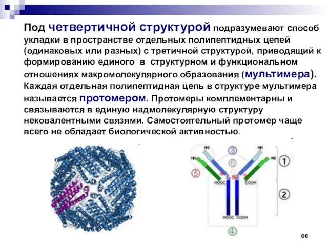 Под четвертичной структурой подразумевают способ укладки в пространстве отдельных полипептидных цепей