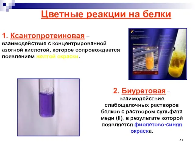 Цветные реакции на белки 1. Ксантопротеиновая – взаимодействие с концентрированной азотной