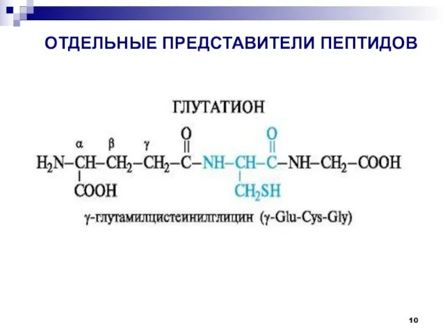 ОТДЕЛЬНЫЕ ПРЕДСТАВИТЕЛИ ПЕПТИДОВ