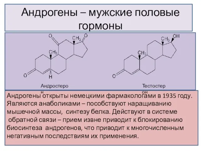 Андрогены – мужские половые гормоны Андростерон Тестостерон Андрогены открыты немецкими фармакологами