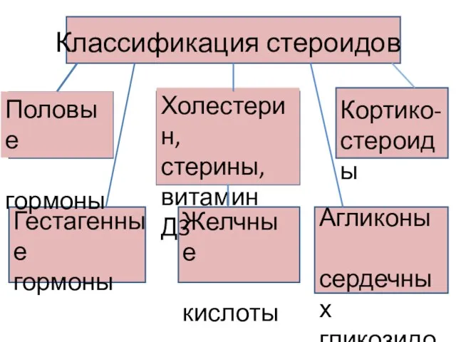 Классификация стероидов Половые гормоны Холестерин, стерины, витамин Д3 Кортико-стероиды Гестагенные гормоны Желчные кислоты Агликоны сердечных гликозидов