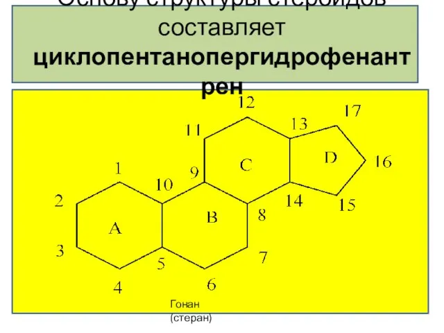 Основу структуры стероидов составляет циклопентанопергидрофенантрен Гонан (стеран)