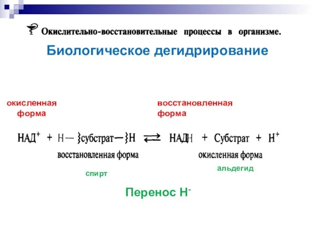 Биологическое дегидрирование окисленная форма восстановленная форма Перенос Н- спирт альдегид