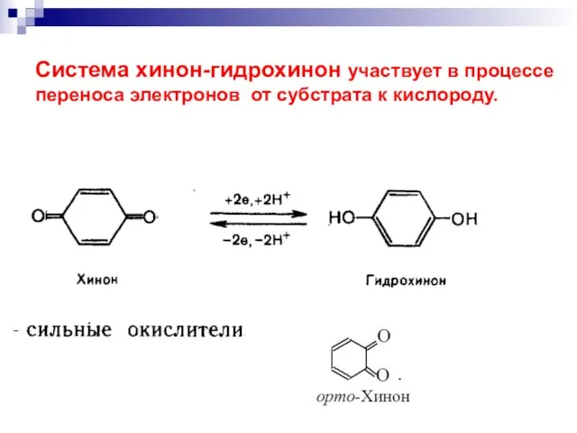 Система хинон-гидрохинон участвует в процессе переноса электронов от субстрата к кислороду.