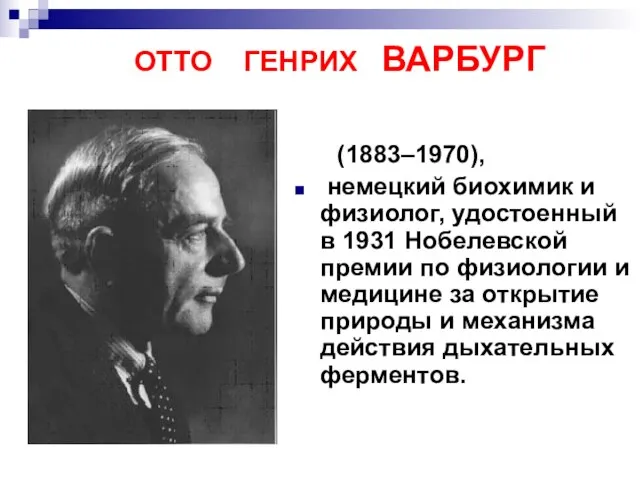 ОТТО ГЕНРИХ ВАРБУРГ (1883–1970), немецкий биохимик и физиолог, удостоенный в 1931