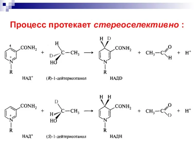 Процесс протекает стереоселективно :