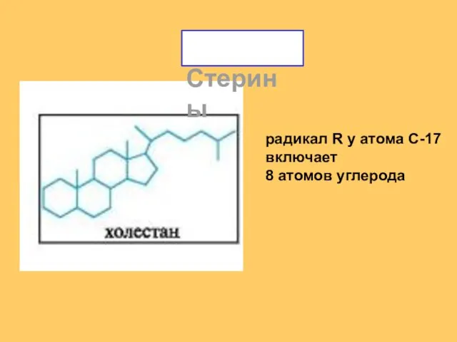 Стерины радикал R у атома С-17 включает 8 атомов углерода