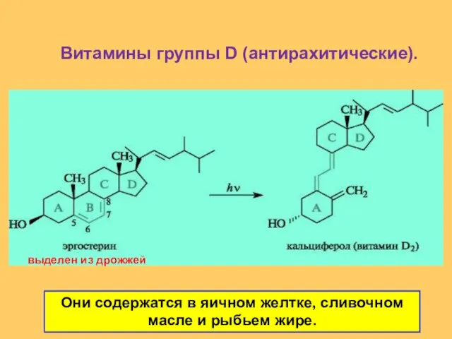 Витамины группы D (антирахитические). выделен из дрожжей Они содержатся в яичном