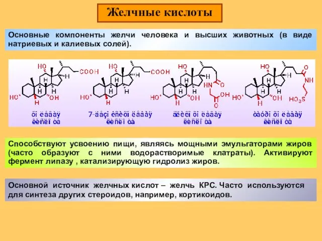 Желчные кислоты Основные компоненты желчи человека и высших животных (в виде