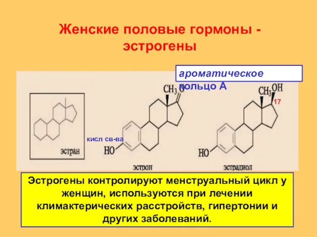 Женские половые гормоны - эстрогены Эстрогены контролируют менструальный цикл у женщин,