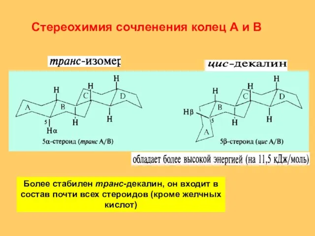 Стереохимия сочленения колец А и В Более стабилен транс-декалин, он входит