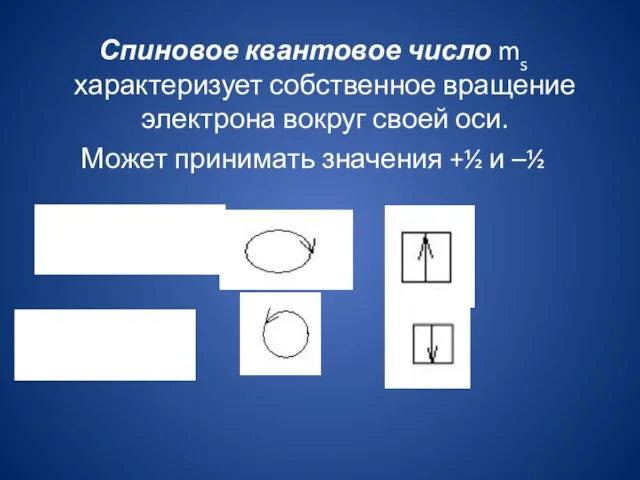 Спиновое квантовое число ms характеризует собственное вращение электрона вокруг своей оси.