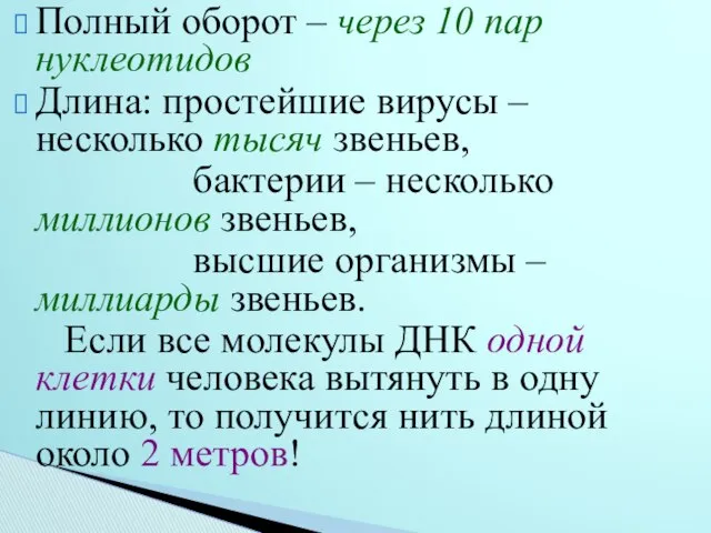 Полный оборот – через 10 пар нуклеотидов Длина: простейшие вирусы –