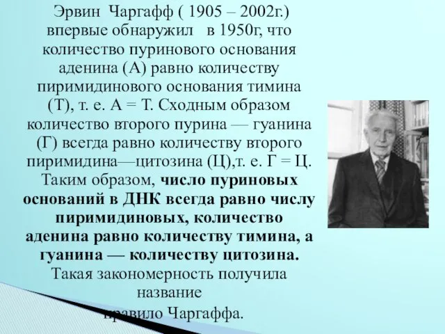 Эрвин Чаргафф ( 1905 – 2002г.) впервые обнаружил в 1950г, что