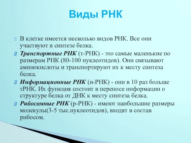 В клетке имеется несколько видов РНК. Все они участвуют в синтезе