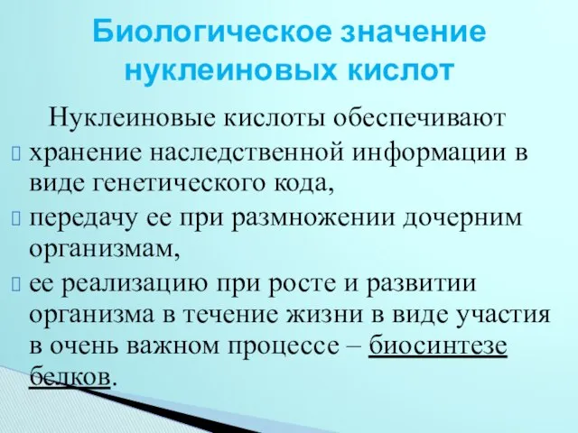 Нуклеиновые кислоты обеспечивают хранение наследственной информации в виде генетического кода, передачу