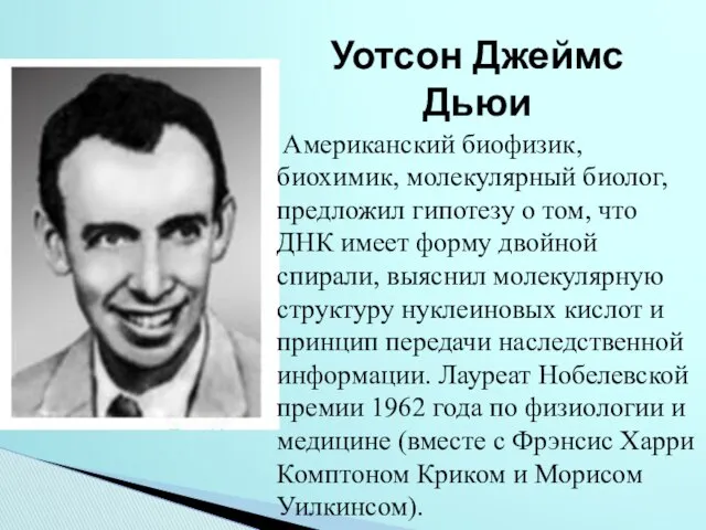 Уотсон Джеймс Дьюи Американский биофизик, биохимик, молекулярный биолог, предложил гипотезу о