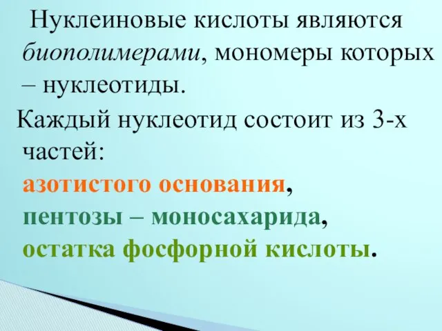 Нуклеиновые кислоты являются биополимерами, мономеры которых – нуклеотиды. Каждый нуклеотид состоит