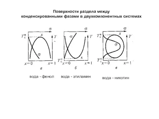 Поверхности раздела между конденсированными фазами в двухкомпонентных системах вода - фенол