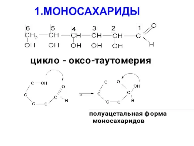 1.МОНОСАХАРИДЫ